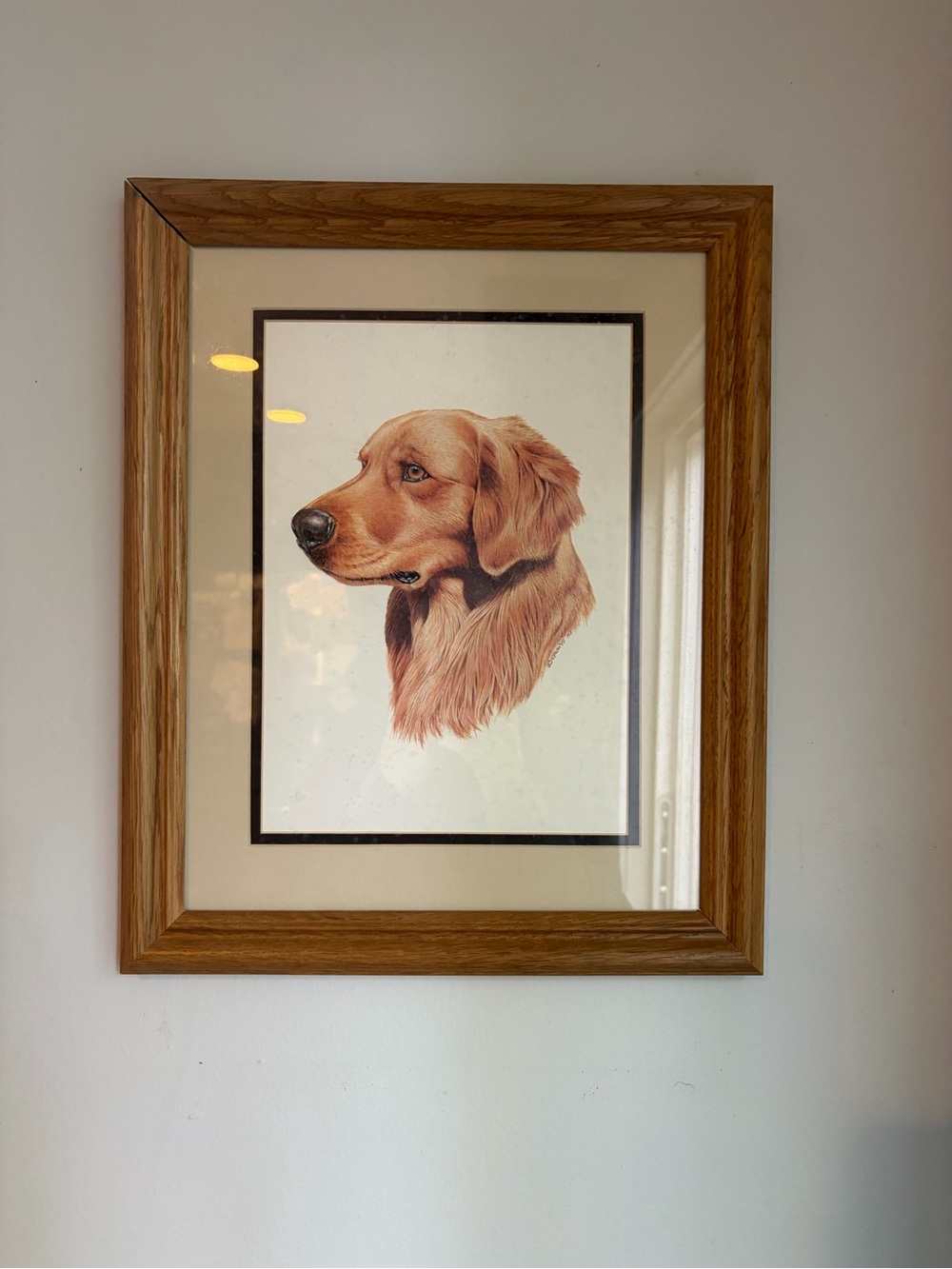 Vintage 1987 Golden Retriever Dog Portrait Original Art Signed Grunts ’87 Framed